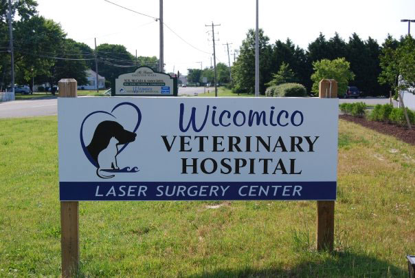 Wicomico Veterinary Hospital